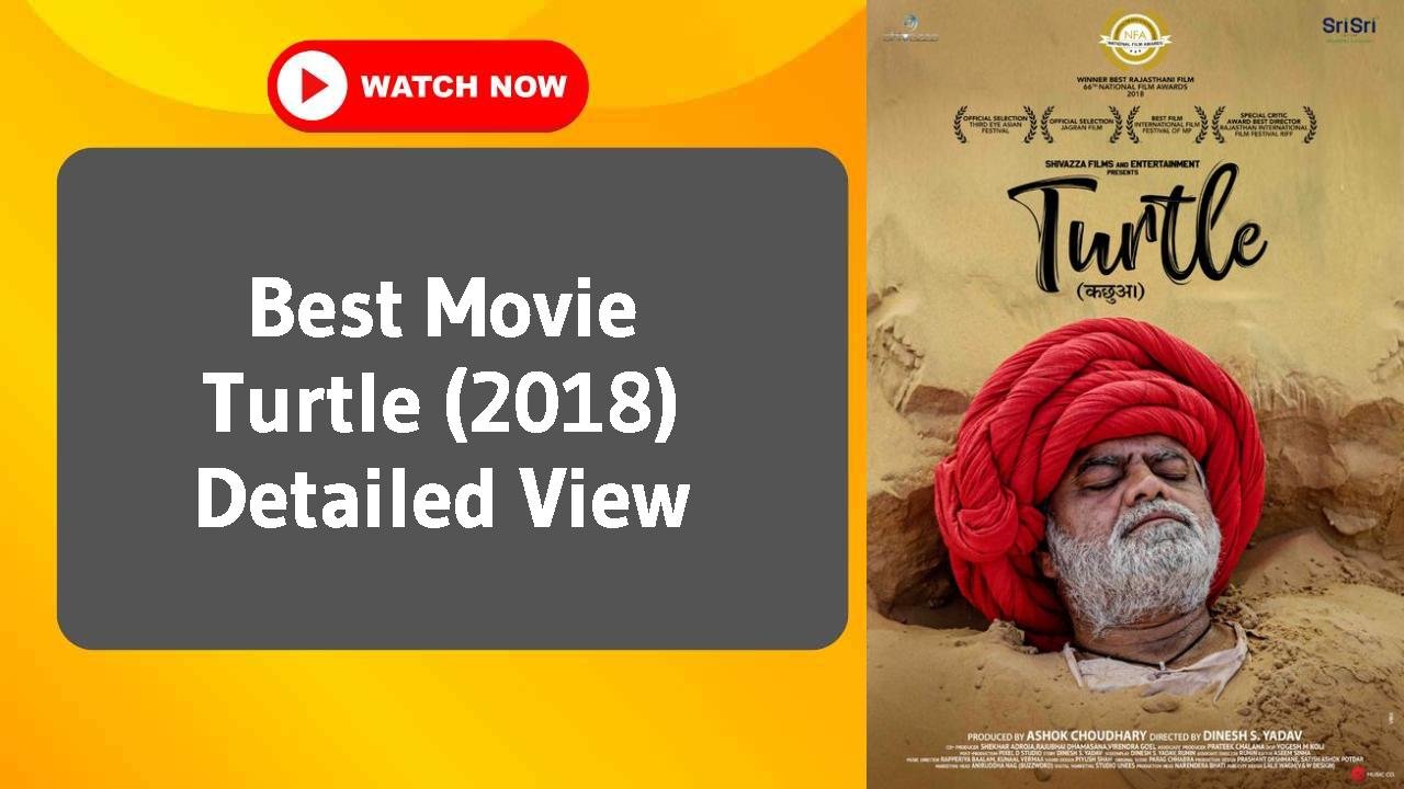 Turtle (2018)